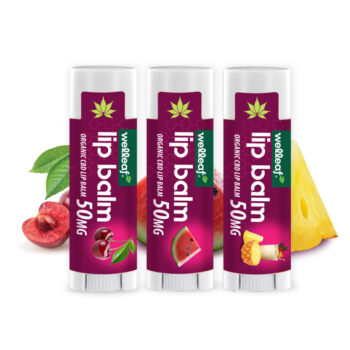 Welleaf cbd lip balm group